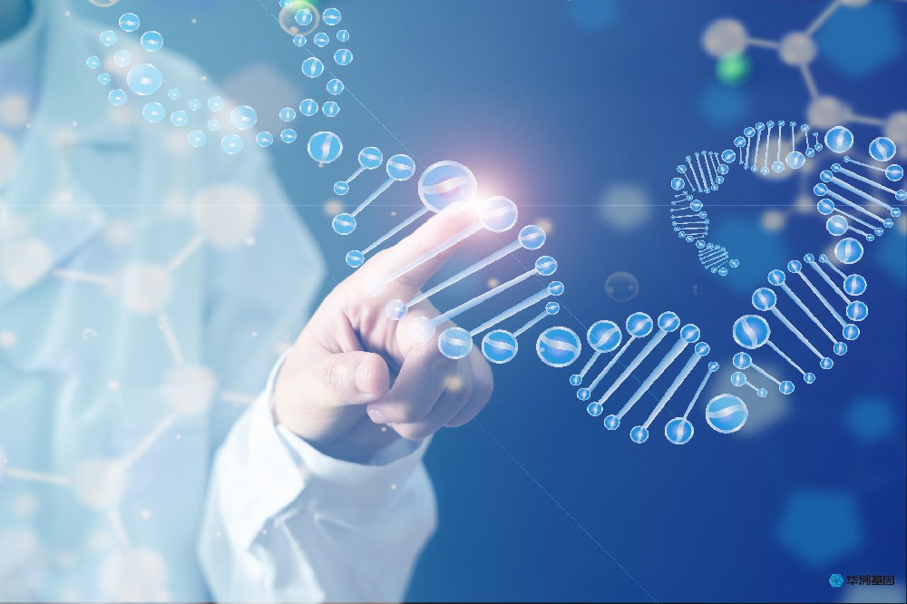 个人亲子鉴定与司法亲子鉴定有什么区别？